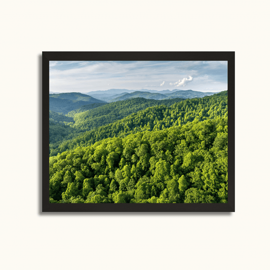 Whispers of the hills