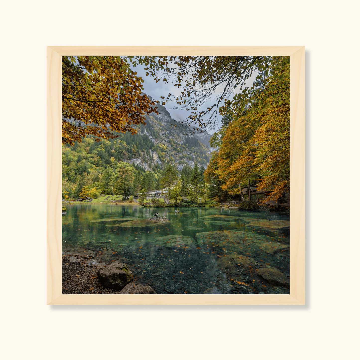 Still waters of autumn