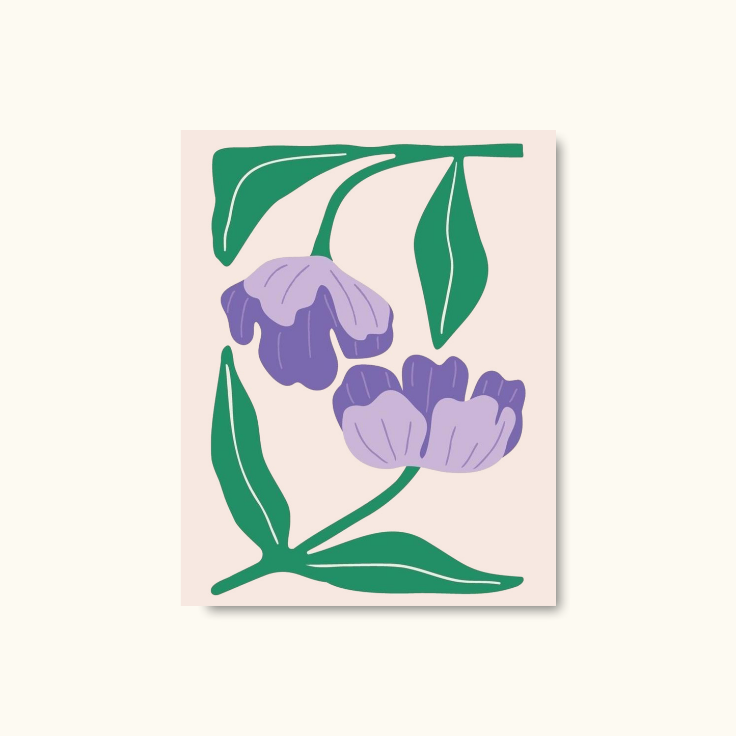 Levander bloom