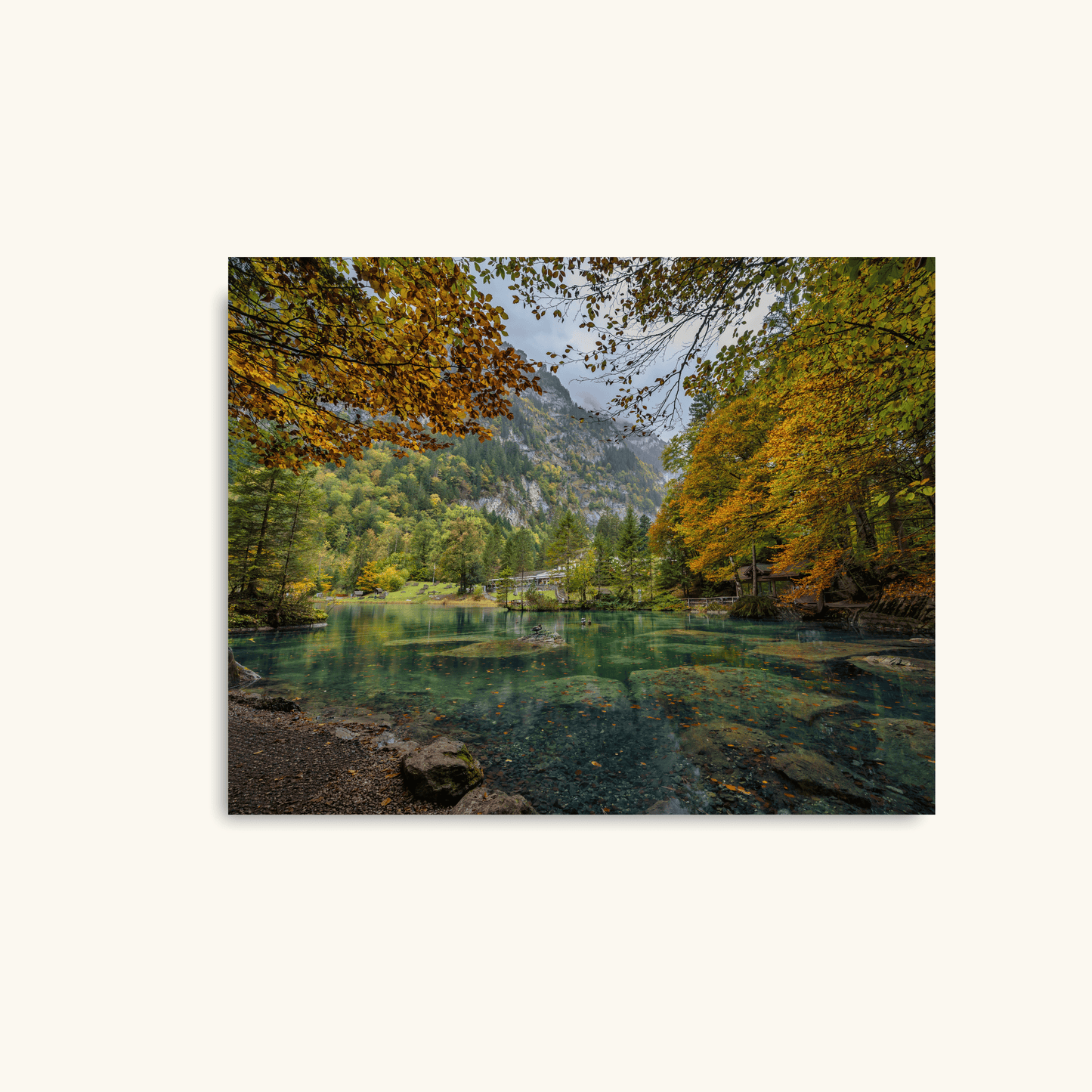 Still waters of autumn