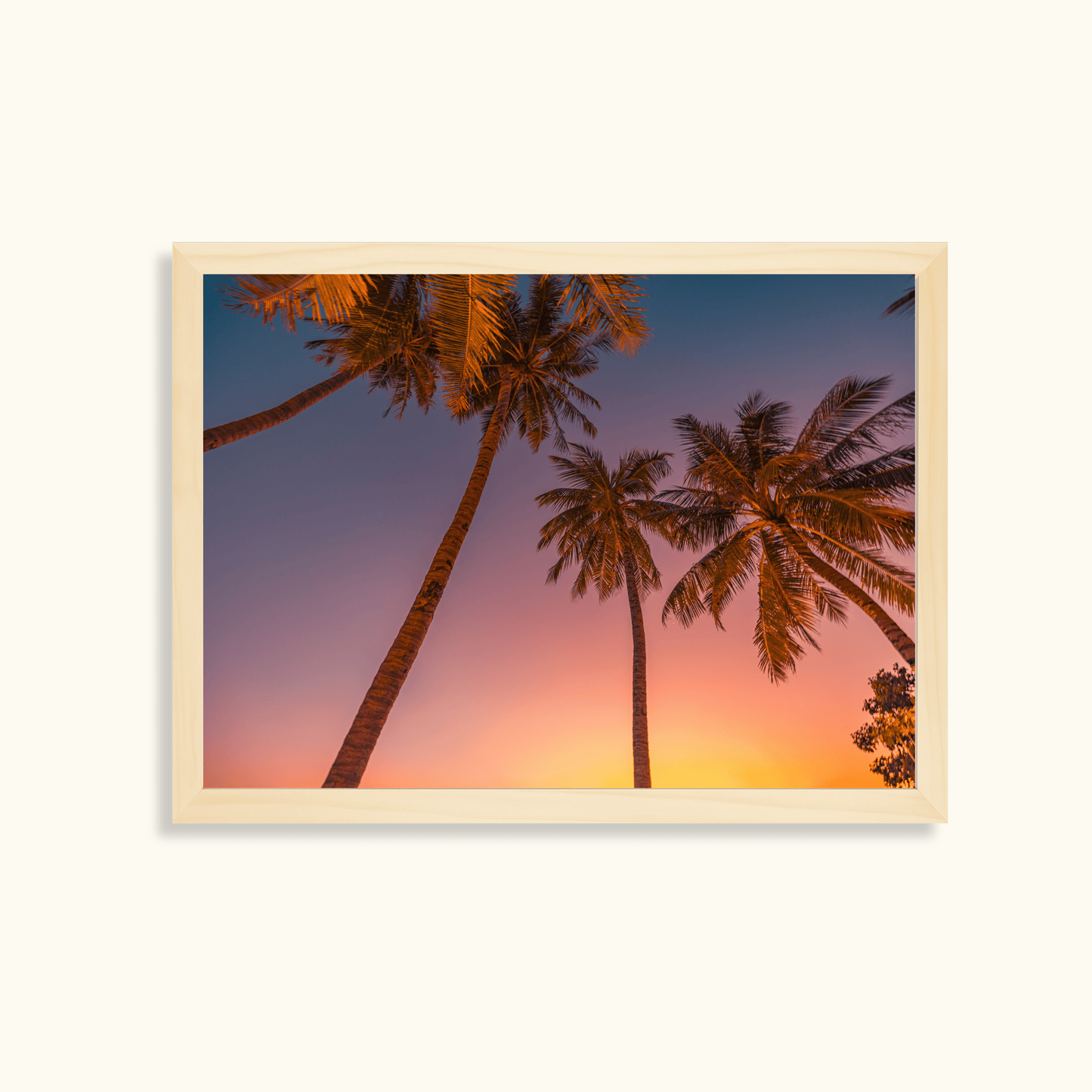 Tropical glow