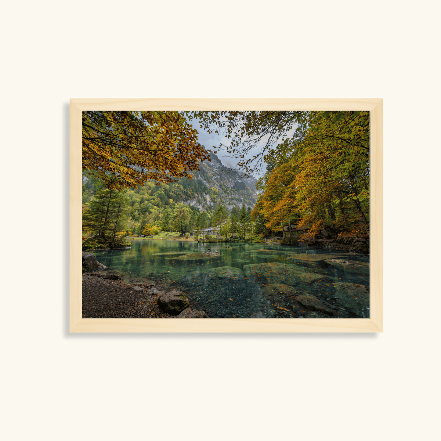 Still waters of autumn
