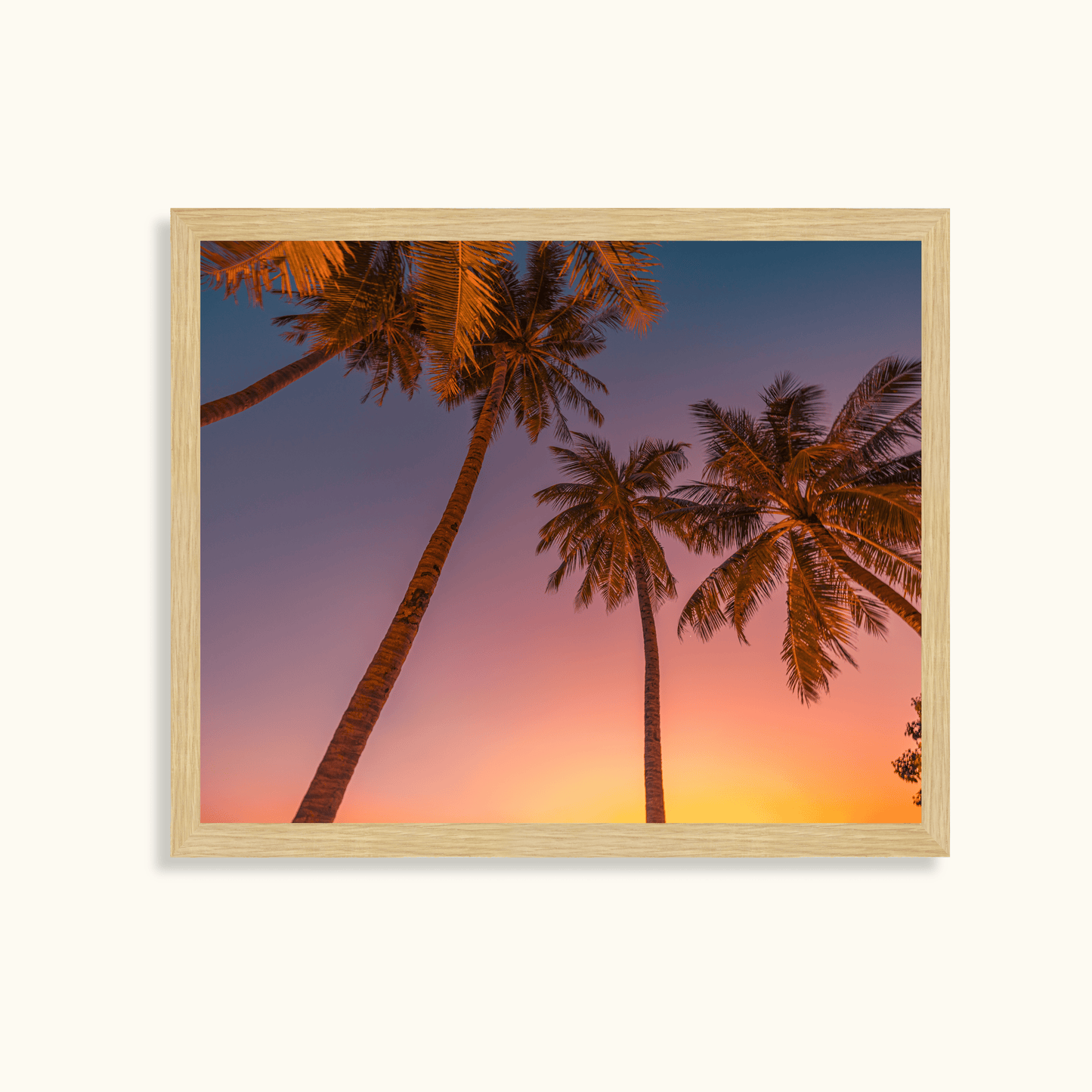 Tropical glow