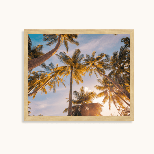 Golden palms