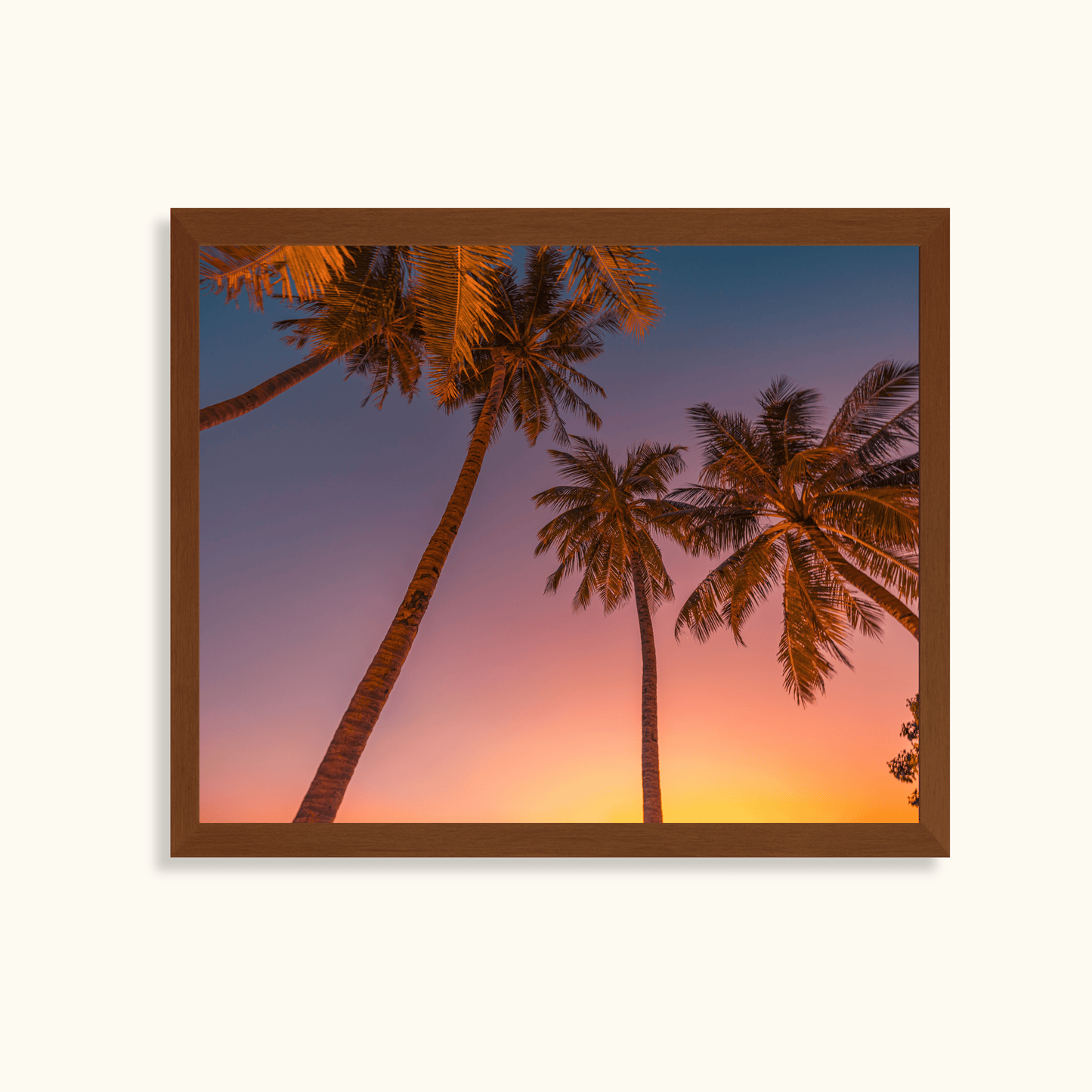 Tropical glow