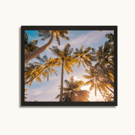 Golden palms