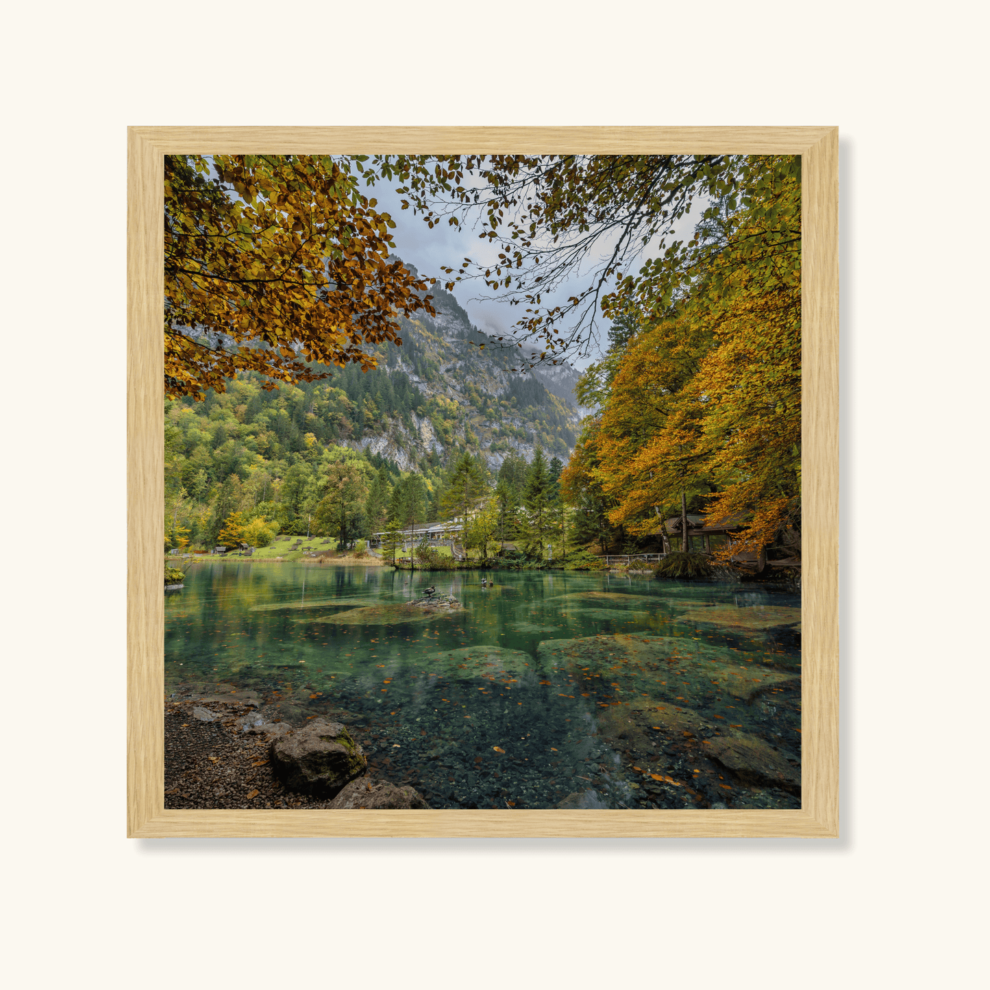 Still waters of autumn