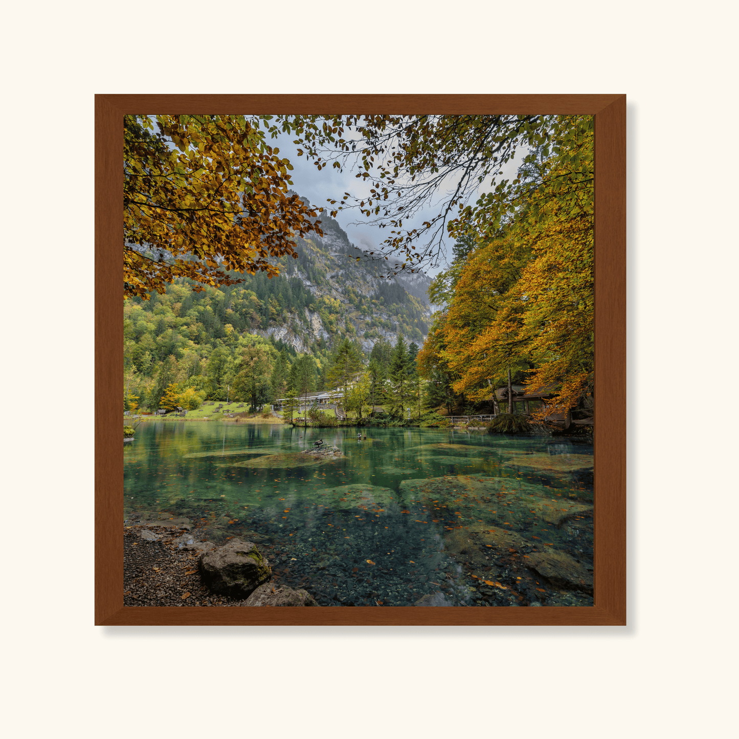 Still waters of autumn