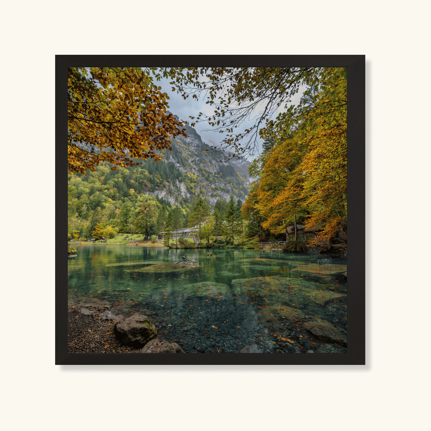 Still waters of autumn