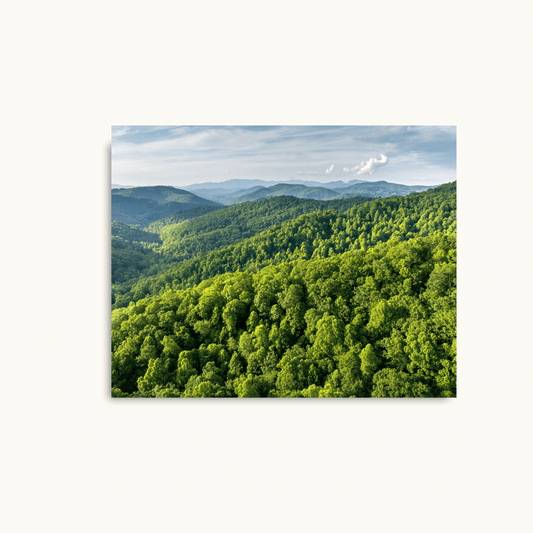 Whispers of the hills