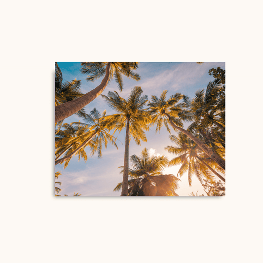 Golden palms