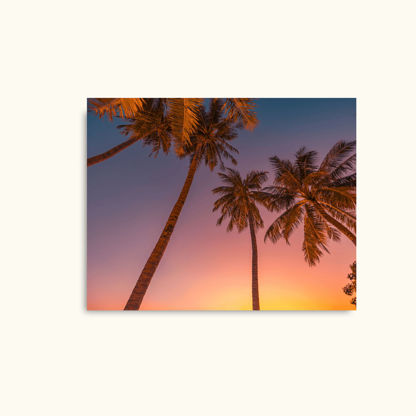 Tropical glow