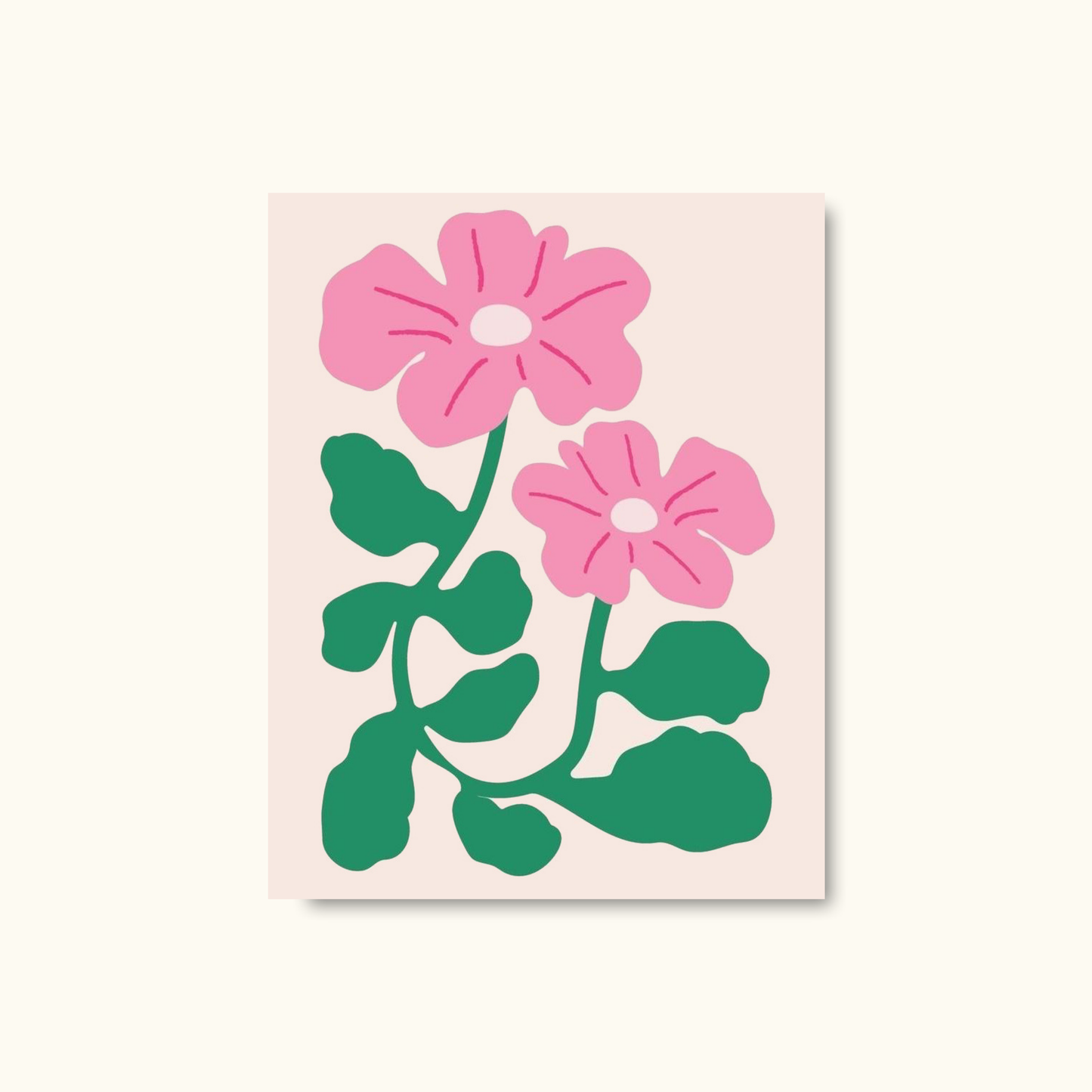 Pink garden bloom